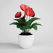 Sleeping With A Pot Plant May Reduce Snoring - sleepQ+