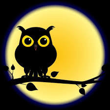 Are You A Night Owl With Sleep Apnea? It May Be A Gene Mutation.