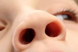 Our Amazing Nasal Defence Against Disease